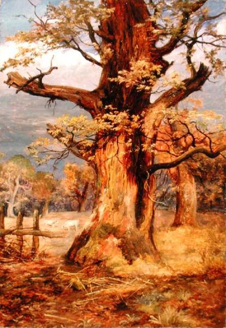 Blasted Oak, Galloway von James Jnr Faed