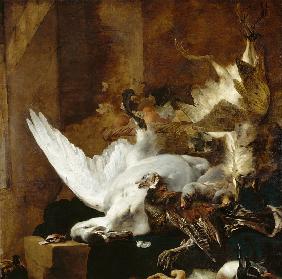 Still life with a dead swan 1651