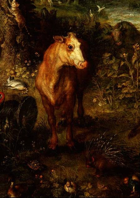 Earth or The Earthly Paradise, detail of a cow, porcupine and other animals von Jan Brueghel d. Ä.