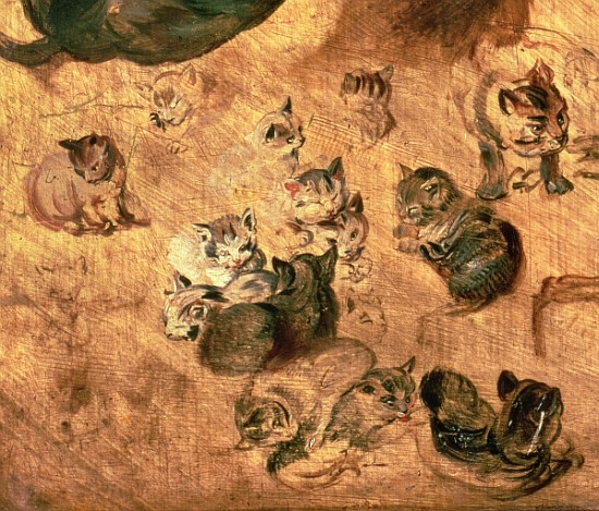 Study of cats, 1616 (detail of 65879) von Jan Brueghel d. Ä.