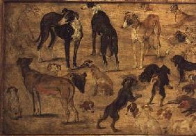 Study of Hounds 1616