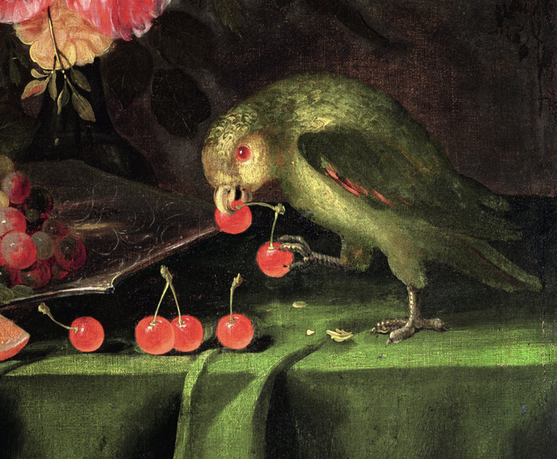 Still Life of Fruit and Flowers, detail of a Parrot von Jan Davidsz de Heem