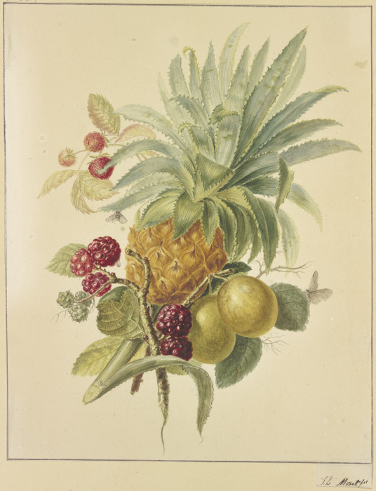 Eine Ananas, Pflaumen und Himbeeren von Jan Evert Morel