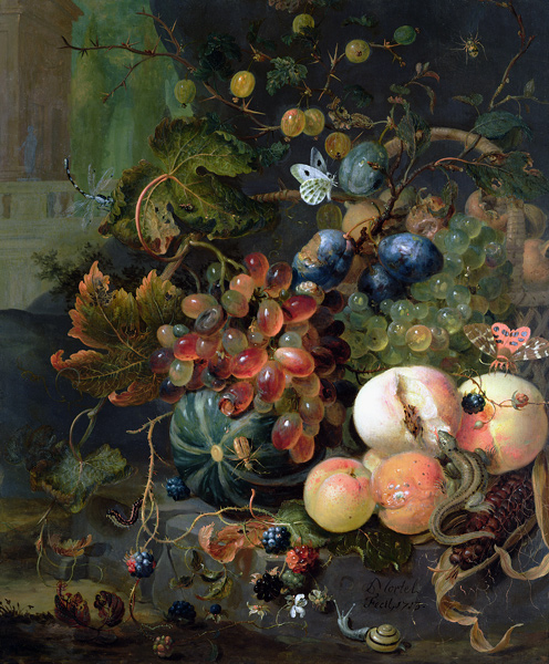Still Life of Fruit and Insects von Jan Mortel