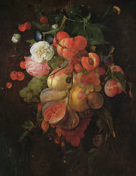 Fruit and Flowers von Jan van Dalen