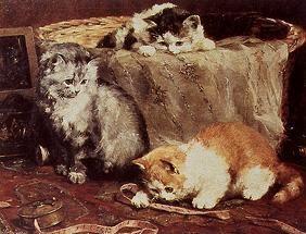 Junge Katzen spielen in einem Nähkorb. 1905