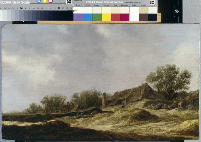 Landschaft mit Bauernhaus von Jan van Goyen
