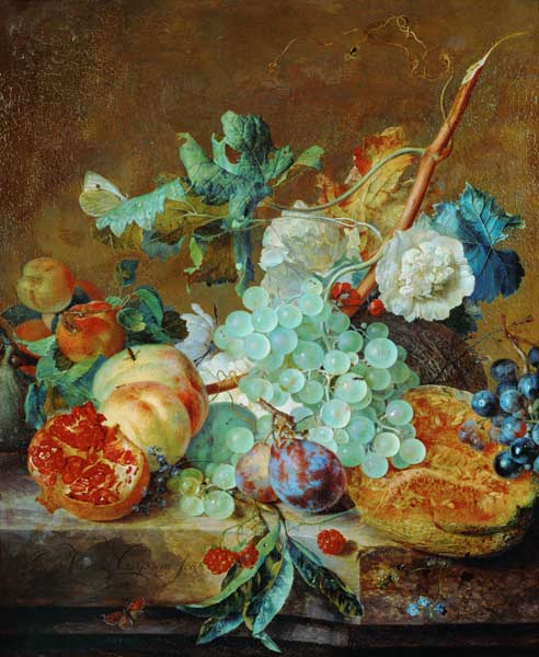 Flowers and Fruit von Jan van Huysum