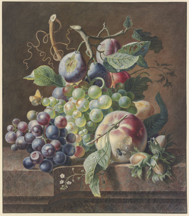 Früchtestück mit Pfirsich, Haselnuss,Trauben und Pflaumen von Jan van Huysum