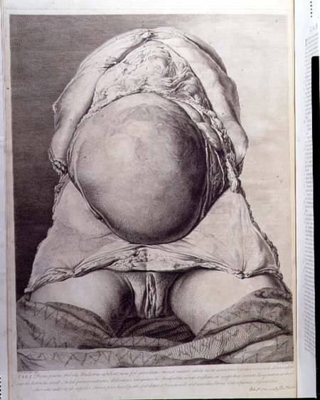 Anatomical drawing of the abdomen of a pregnant female human with skin peeled back von Jan van Rymsdyk
