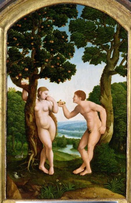 Adam and Eve in Paradise von Jan van Scorel