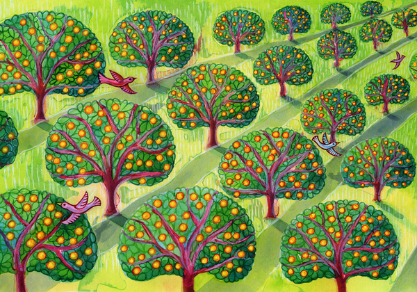 Orchard von Jane Tattersfield