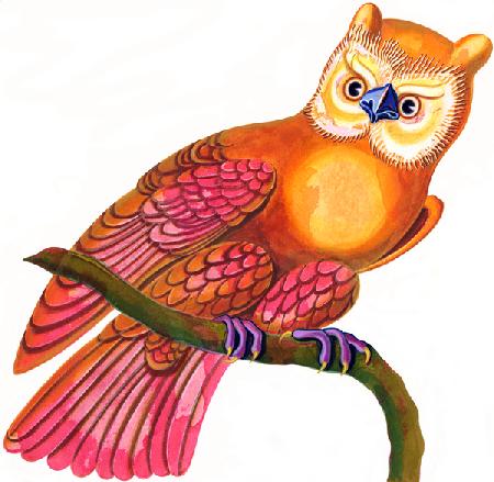 owl 1997