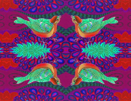 Tree sparrow pattern 2015