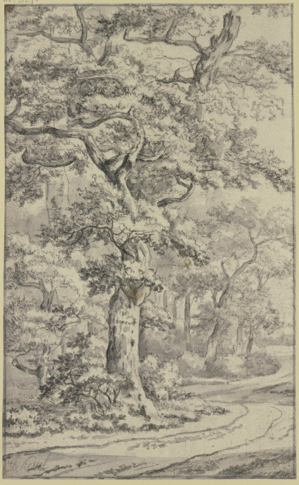 Weg an Eichenbäumen von Jan van Kessel