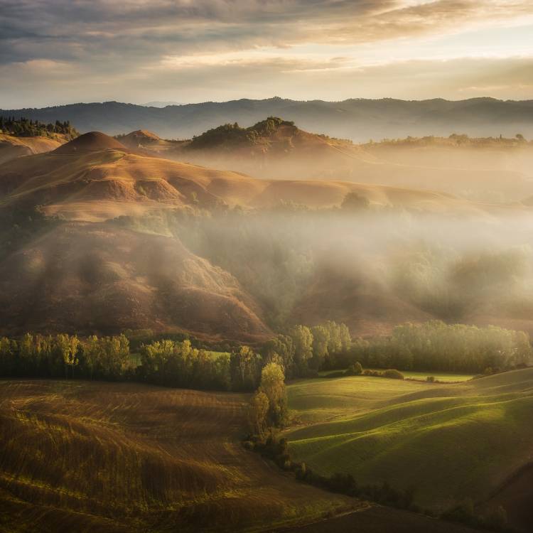 Mystical Waving Fields Tuscany von Jarek Pawlak