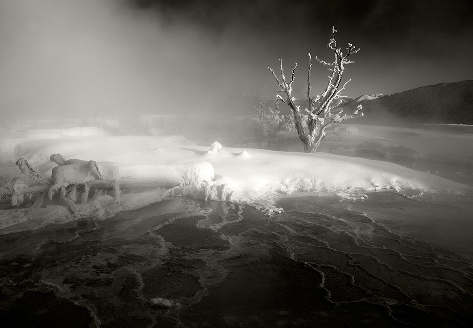 Mammoth Hot Springs,2009 von Jay Wesler