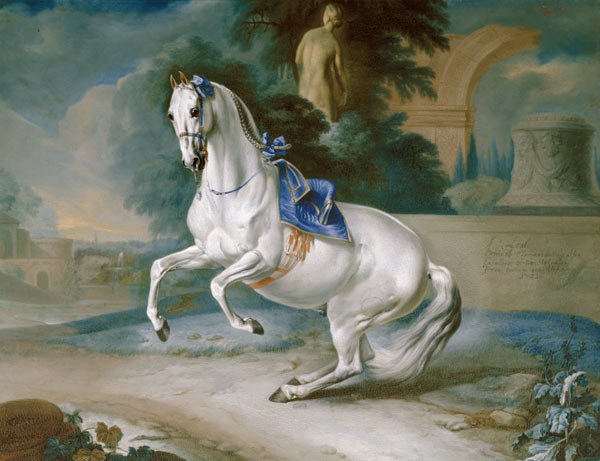 The White Stallion 'Leal' en levade von J.C. Hamilton