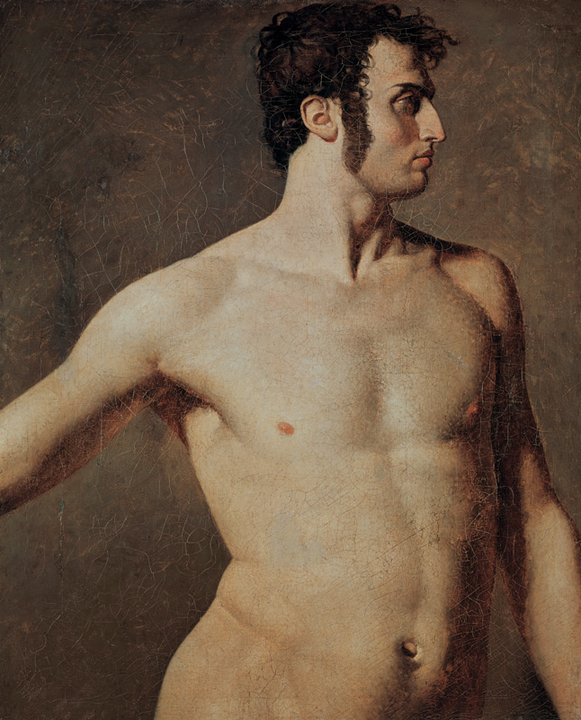 Male Torso von Jean Auguste Dominique Ingres