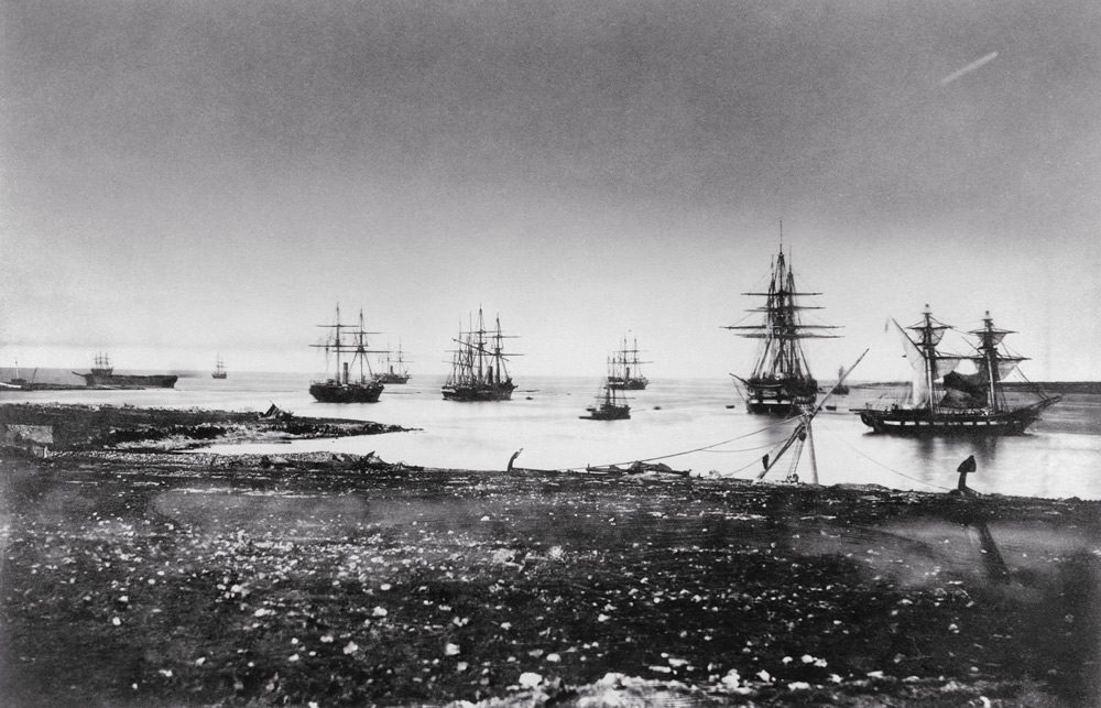 Crimean war, French squadron, entry into the port, 1855 (b/w photo)  von Jean Baptiste Henri Durand-Brager