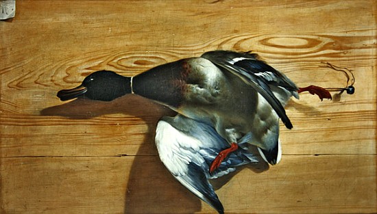 A duck on a pine board von Jean Jacques Bachelier