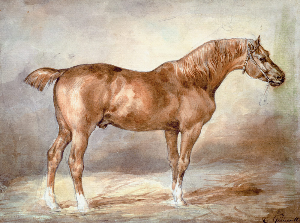 A docked chestnut horse von Jean Louis Théodore Géricault