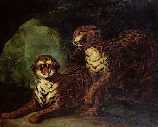 Two Leopards, c. 1820 von Jean Louis Théodore Géricault