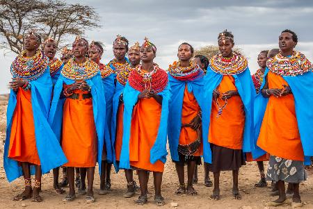 Der prächtige Samburu