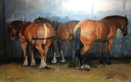 Horses - Heavy Horses - Chertsey Show 2012
