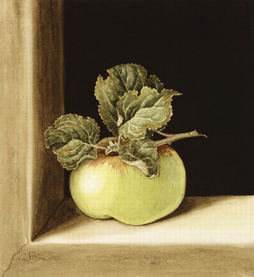 Apple (w/c on paper)  von Jenny  Barron