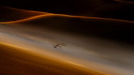Der einsame Überlebende im Death Valley