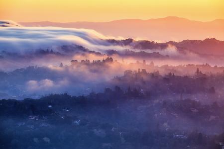 Moring Nebel in Berkeley