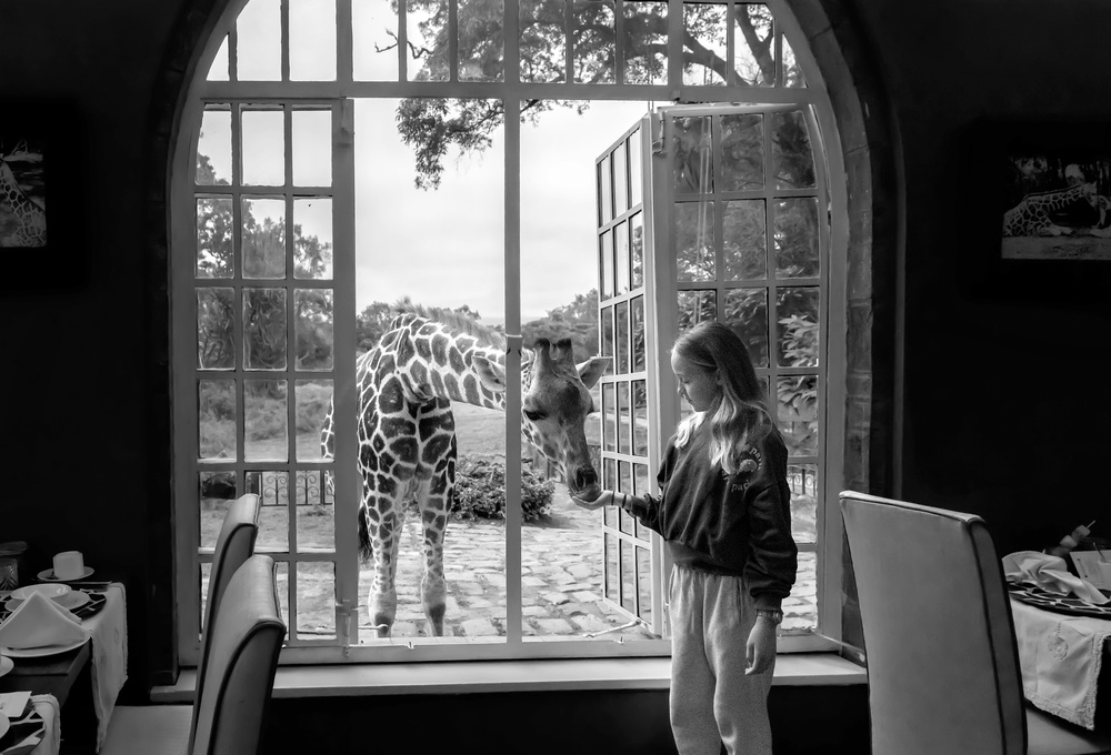 Giraffe und Mädchen von Jie Fischer