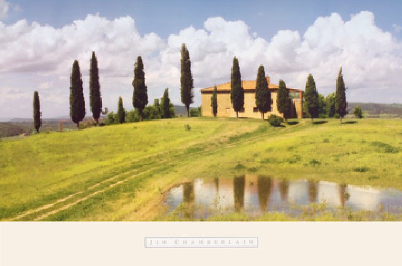 Tuscan Hillside #5 von Jim Chamberlain