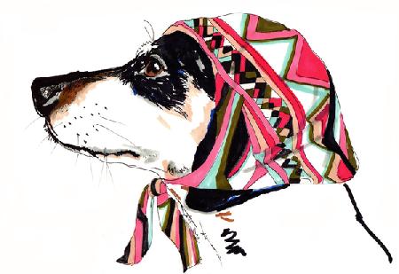 Pooch In Pucci 2012
