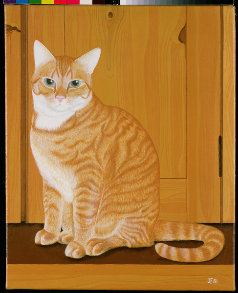 Marmalade cat by a door von Joan Freestone