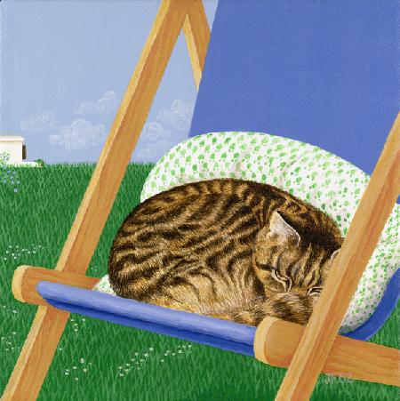 Tabby cat asleep in a deck chair 1982