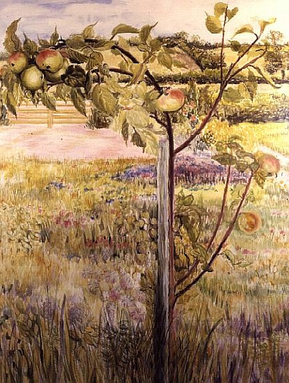 Apple Tree in a Suffolk Landscape (w/c)  von Joan  Thewsey
