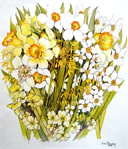 Daffodils, Narcissus, Forsythia and Primroses 2000