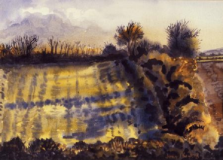 Field with Long Shadows 1990