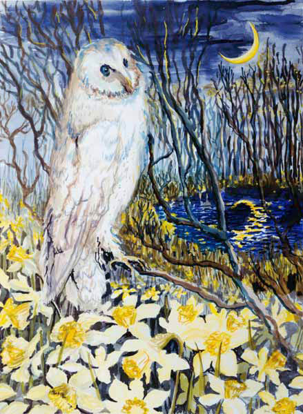 Owl (w/c on paper)  von Joan  Thewsey