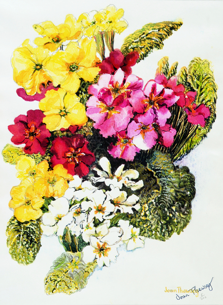 Primroses,White,Yellow,Pink and Red von Joan  Thewsey
