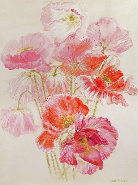 Shirley Poppies (w/c)  von Joan  Thewsey