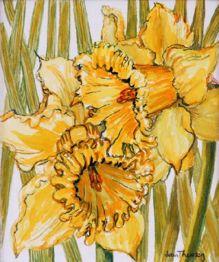 Two Daffodils 2001
