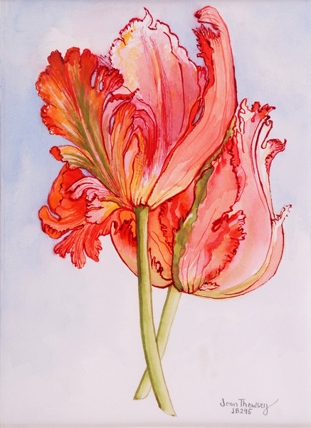 Two Frilled Tulips von Joan  Thewsey