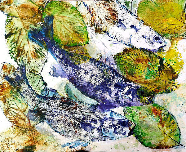 beautiful fish von jocasta shakespeare
