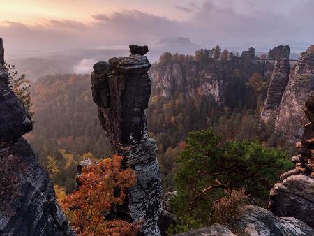 Wehlnadel im Elbsandsteingebirge