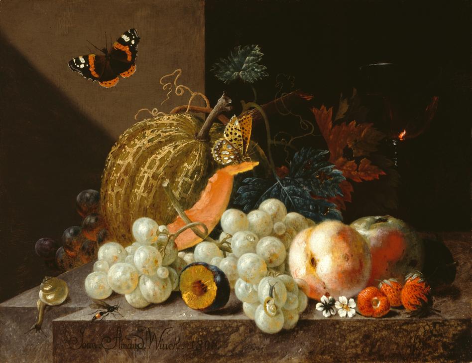 Früchtestillleben mit Weinglas und  Insekten von Johann Amandus Winck