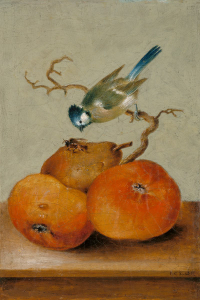 Fruchtstück mit Meise und Biene von Johann Conrad Seekatz