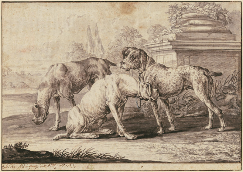 Drei Jagdhunde von Johann Elias Ridinger